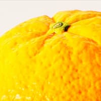 таможенное оформление апельсинов
